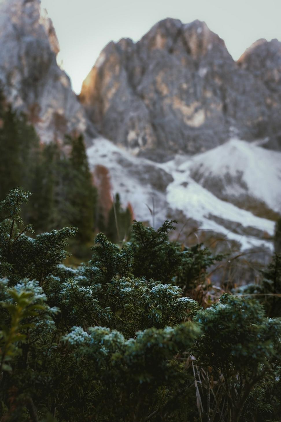 Contact Emberwyn Frontier Lodge